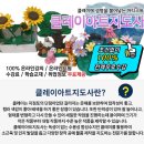 대창초교 | 클레이아트 자격증 시연으로 만드는 과정까지