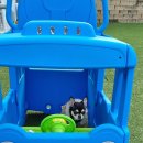 더리조트멍 이미지