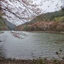 봉암북14길 | 창원 봉암수원지 후기｜벚꽃은 졌지만 또 다른 매력이 가득했던 산책길