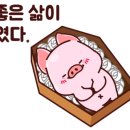 내 손으로 만드는 도자기 그릇 이미지