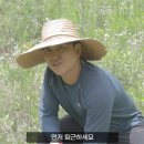 청결농장 이미지