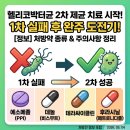 금강공인중개사 | 헬리코박터 1차 제균치료 실패, 2차 복용시작