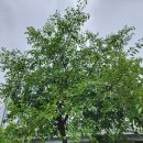 학의천변 이미지