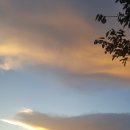 너울펜션 이미지