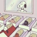 벨라니산후조리원 동탄점 이미지