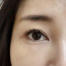 투유뷰티샵 | [풍암동속눈썹] 광주속눈썹연장 추천 투유뷰티 마스카라연장 솔직후기