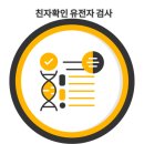 서구-02-99 | 실제 친자확인검사 후기 — 마음의 짐을 내려놓은 하루