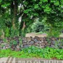 위미동백군락 이미지