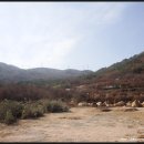 상마농장 이미지