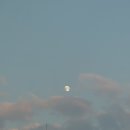 바다와자전거 이미지