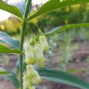 황정농장 이미지