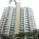 예솔치과의원 이미지