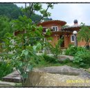 지리산구름채 Daum카페