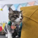 지개동산 이미지