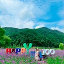 평창전통민속상설공연장 | 강원도 9월 축제 평창 백일홍축제, 농악축제 추석연휴가볼만한곳 여행지 추천