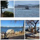 경포로 | 강릉 경포호 자전거 대여 후기｜코스·요금·이용 팁 총정리