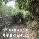 광명공판장 | [제주올레길 4코스 정방향] 표선해수욕장 → 남원포구 19km, 편의점 없고 바다뿐.. 대신 조용해서...
