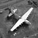 작은날개2 이미지