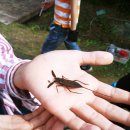 미산초등학교 이미지