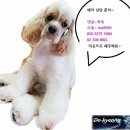안젤라미용실 - 강남구 | 안젤라미용실