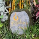 요가 | 발리여행 우붓 요가반 소닉 생츄어리 사운드 힐링요가 후기 (Sonic Sanctuary sound healing)