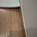 진주방역업체 l 아파트 개미 방역 서비스 진행 후기 [진주알파방역]