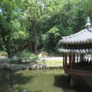 연못들3 이미지