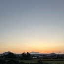 제주에 오길 잘했다 이미지