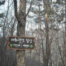 매화랜드 이미지