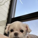 베베그루밍 이미지