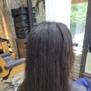 부시시 | 안양 범계 부시시한 곱슬머리 볼륨매직 후기