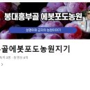 흥부골농원 이미지