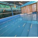 유수암숲 이미지