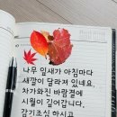 음악과 함께 하고저 이미지