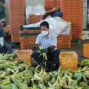 두촌면행정복지센터 이미지