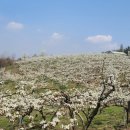 성성한림공인중개사사무소 이미지