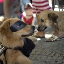 열린24시동물병원 이미지