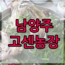 고센농장 이미지