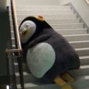 대가순두부,두낙전골 이미지