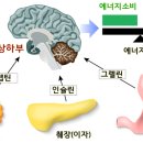 LIFE 헬스 이미지