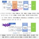 DMA(Direct Market Access) 이용 공매도에 대한 사실관계 이미지