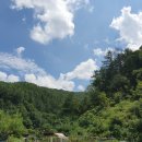 비발디의아침 이미지