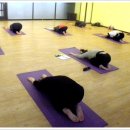 일반요가 이미지