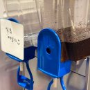 배경자금촌옥 이미지