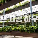 상하부자농장 이미지