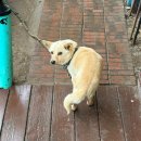 해피비해피펜션 | 비오는 강화도 1박2일 숙소, 한정식 맛집, 오션뷰...해피빌리펜션, 쌈밥이네, 트라몬토 내돈내산 후기