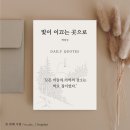 스위스요양병원 | 독서기록 #01 - 백희성 장편 소설, 빛이 이끄는 곳으로 서평