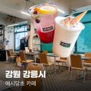 한적 | 강릉 카페 애시당초 솔직후기 (웨이팅X 한적한 날, 시간)