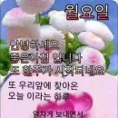 새물내 이미지