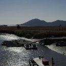 팔영산국립공원 이미지